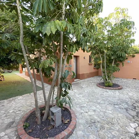 Casa Con Jardin Privado Y Piscina Compartida カディス