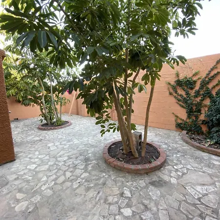 シャレー Casa Con Jardin Privado Y Piscina Compartida カディス